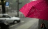 В Ленобласти 16 марта в в большинстве районов будет идти дождь