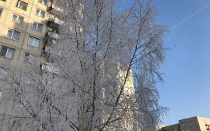 Синоптик рассказал о погоде в Подмосковье перед Новым годом