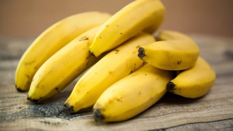 Полиция Эквадора обнаружила три тонны кокаина в партии бананов для Петербурга