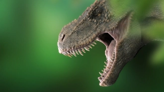 В зубах у тираннозавра рекса находились нервные датчики для распознавания добычи 