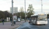 В автобусах Петербурга вырос пассажиропоток