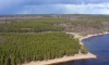 Стало известно, кто возглавит проект развития кластера "Горская"