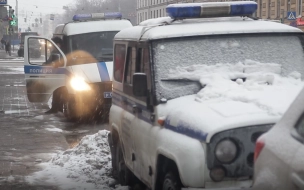Задержан подозреваемый в кражах из дома Лидваля в Петербурге