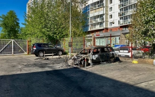В Котласе был задержан подозреваемый в поджоге иномарки на Пулковском шоссе