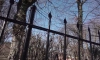 Тело бывшего судьи обнаружили сожженным на кладбище под Томском