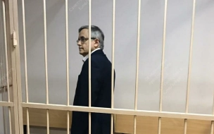 Нефрологу Земченкову, обвиняемому в убийстве жены 11 лет назад, продлили арест