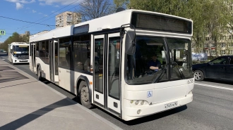 В Петербурге усилят автобусные маршруты до кладбищ в Вербное воскресенье