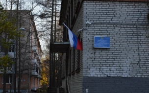 На Кушелевской дороге 29-летний шалун стрелял из окна квартиры