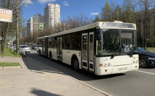 В Петербурге временно продолжат принимать оплату наличными 88 автобусных маршрутов