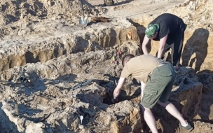 На месте раскопок в Тосненском районе нашли танк с боепр...