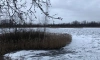 МЧС: в прибрежных районах Петербурга 15 декабря ожидается усиление ветра до 15 м/с