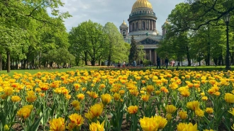 Садовники приступили к разработке цветочного оформления Петербурга в этом году