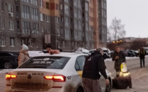 Полиция устанавливает обстоятельства ДТП в Кудрово
