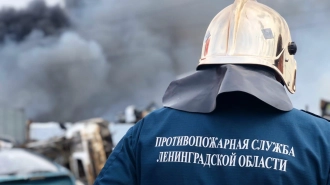 Житель Гатчинского района погиб при пожаре