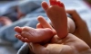 Из петербургского дома ребенка забрали последнего малыша, рождённого суррогатной матерью