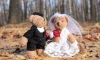 С 26 октября петербуржцы могут подать заявление на регистрацию брака летом 2023 года