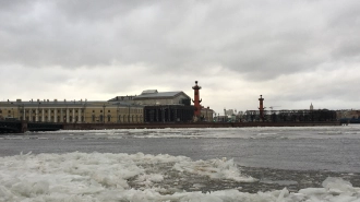 В Петербурге 29 ноября температурный фон останется на 2-3 градуса ниже климатической нормы