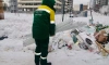 Почти 1,5 тонны опасных отходов собрали экологи за неделю в Петербурге