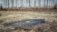 Режим пожароопасности в Ленобласти отменён указом ...