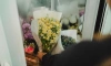 Житель Петербурга избил продавца в цветочном магазине и похитил деньги
