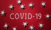 В Ленинградской области выявили 235 новых случаев заболевания коронавирусом