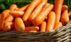 В России ожидают снижения цен на морковь 