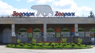 Найденные в Москве змеи переедут в Ленинградский зоопарк