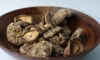 В Петербург привезли 3,5 тонны грибов из Китая