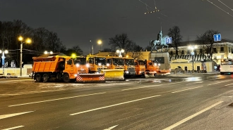 В понедельник высота снежного покрова в Петербурге достигнет 5 см