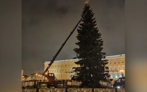 На Дворцовой площади начали разбирать новогоднюю елку