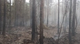 Из-за сухой грозы в Волосово сгорело 5,7 га леса