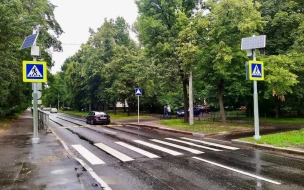 В десяти районах Петербурга оборудовали новые безопасные пешеходные переходы