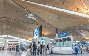 Более 525 тыс. пассажиров обслужил аэропорт Пулково за неделю форума Россия — Африка
