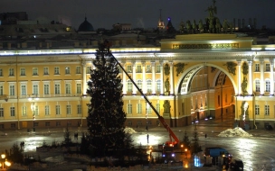 На Дворцовой площади демонтируют главную елку Петербурга