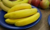 Поставщик бананов из Эквадора отсудил $749 тыс. у петербургской компании