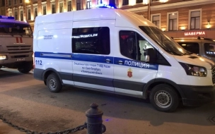 Задержаны двое подозреваемых в разбойном нападении на подростка в Шушарах