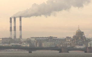 В Петербурге в системообразующих организациях постепенно восстанавливается баланс устойчивости