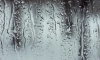 В Ленобласти 14 марта ожидается дождь и до +8 градусов