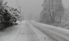 В Ленобласти 24 ноября ожидается умеренный снег