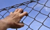 СМИ: почти половина осужденных правоохранителей получили "условку" за пытки задержанных