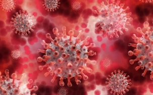Ученые сообщили о новом способе инфицирования коронавирусом
