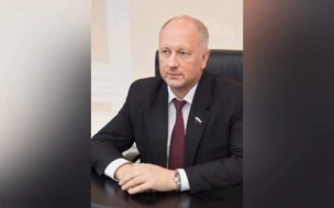 Новым директором Музея политической истории России станет экс-сенатор Сергей Рыбаков