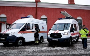 В квартирном пожаре в Парголово пострадал мужчина