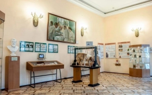 В Петербурге в понедельник откроется выставка к 100-летию санэпидслужбы России