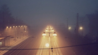 В Петербурге ночью 28 февраля ожидается сильный туман