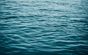 На озере вблизи Озерков утонула девочка, отдыхавшая ...