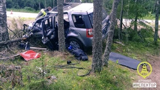 Житель Петербурга погиб в аварии в Ленобласти