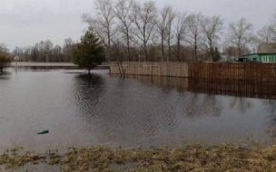 Уровень воды в реке Тихвинского района приблизился к опасной отметке
