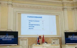 ЗакС утвердил проект бюджета Петербурга на 2022-2024 годы в первом чтении