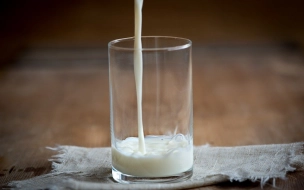 В Роспотребнадзоре предупредили о риске заражения энцефалитом через сырое молоко